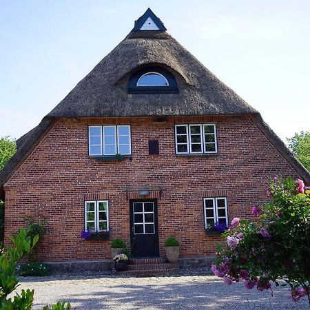 "Haus Auf Dem Berg" Apartment Westensee Luaran gambar