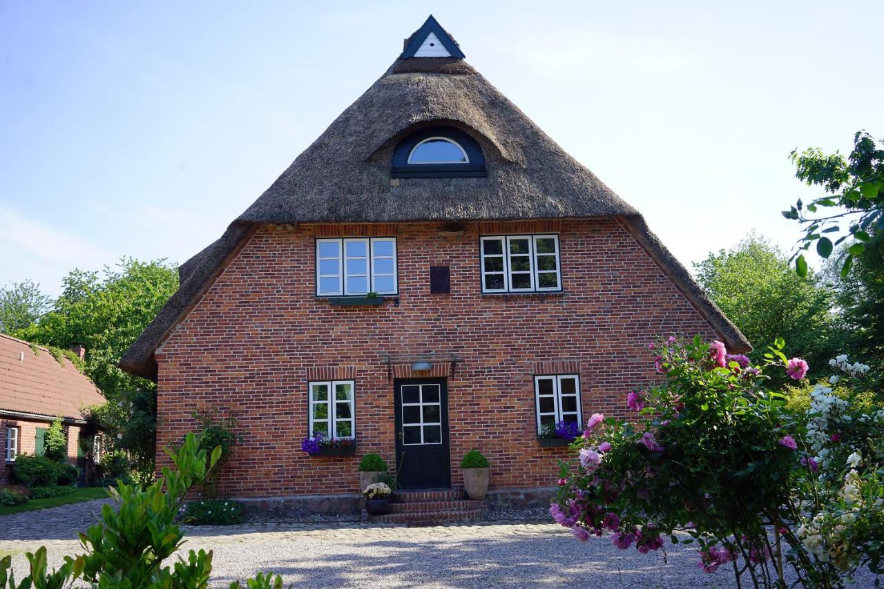 "Haus Auf Dem Berg" Apartment Westensee Luaran gambar